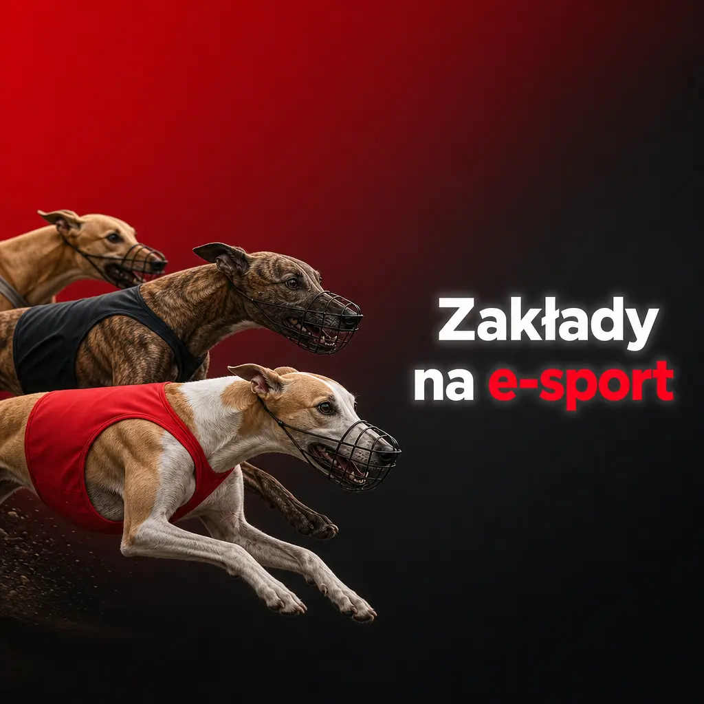 Zakłady na e-sport w 888starz – CS2, Dota 2, LoL, StarCraft, turnieje i rynki specjalne